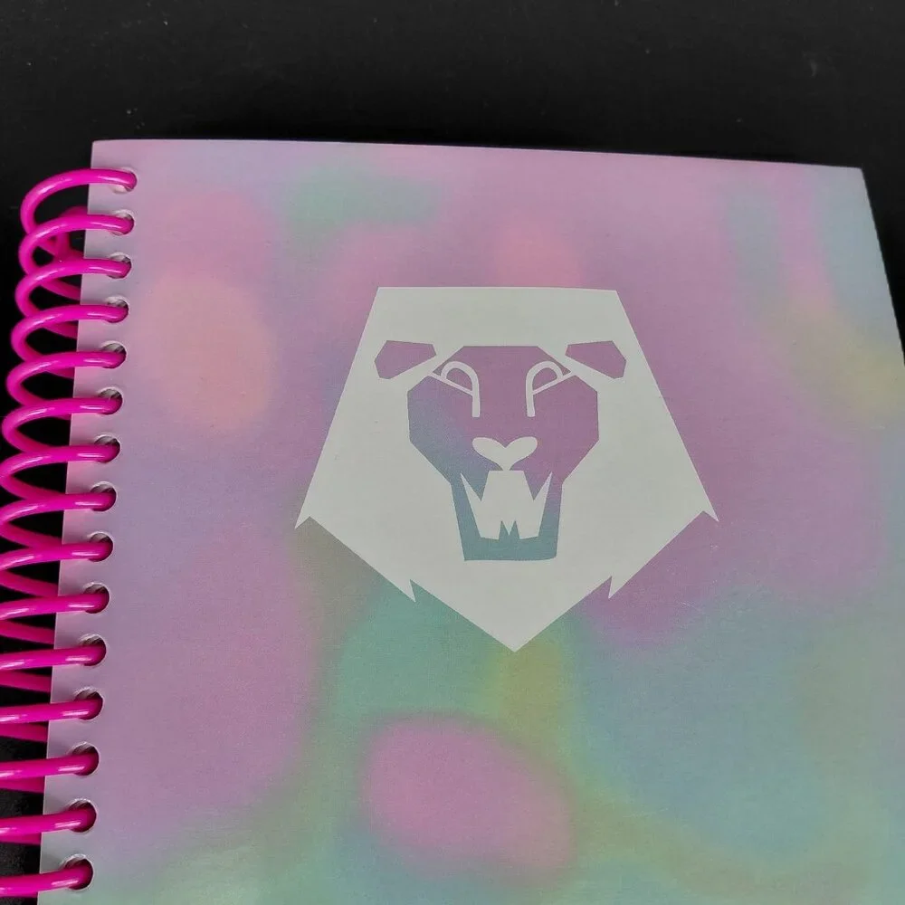 Netflix KPOP Demon Hunters Spiral Journal Notebook A5 Pink Kids Lined Saja Boys